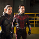 Image for article titled More Wild Rumors About the Future of the X-Men Movie Universe After the Disney/Fox Deal